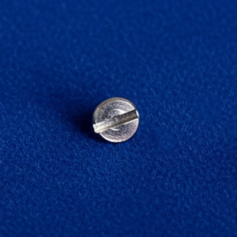 Replacement Screw for Charles Revson The Love Bracelet + Other Brands